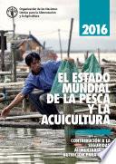 2016 EL ESTADO MUNDIAL DE LA PESCA Y LA ACUICULTURA