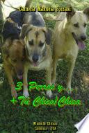 3 Perros y… + Tú Chico/Chica