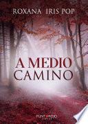 A medio camino