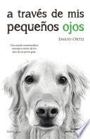 A través de mis pequeños ojos