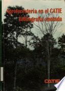 Agroforestería en el Catie