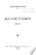 Agua de turbión