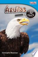 Águilas de cerca