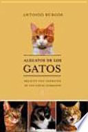 Alegatos de Los Gatos Relatos Conretratos de Los Gatos Literarios
