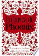 Almas gemelas, 2. En busca de Phoenix