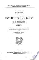 Anales del Instituto Geológico de México