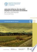 Análisis espacial del balance energético derivado de biomasa - Metodología WISDOM - Provincia del Chubut