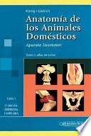 Anatomía de los animales domésticos