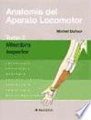 Anatomía del aparato locomotor