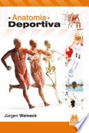 Anatomía deportiva