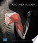 Anatomia humana 6aed