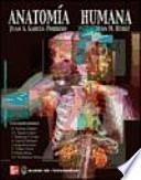 Anatomía humana