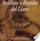 Anfibios y reptiles del llano