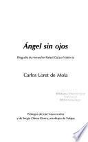 Ángel sin ojos