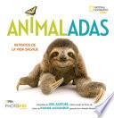 Animaladas