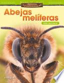Animales asombrosos: Abejas melíferas: Valor posicional: Read-along ebook