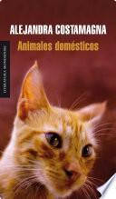 Animales Domésticos