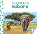 Animales En La Sabana (Animals in Savannas)