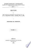Anuario de legislación y jurisprudencia