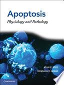 Apoptosis