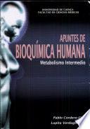 apuntes de bioquimica humana metabolismo intermedio