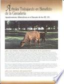 Árboles trabajando en beneficio de la ganadería