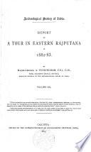 Archeological Survey of India