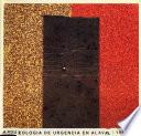 Arqueología de urgencia en Alava, 1989-1993