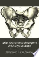 Atlas de anatomia descriptiva del cuerpo humano