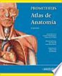 Atlas de anatomía