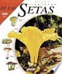 Atlas ilustrado de las setas