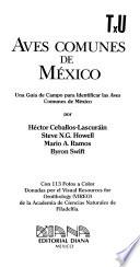 Aves comunes de México