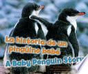 Baby Penguin Story