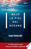 Bajo la piel del océano