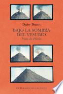 Bajo la sombra del Vesubio