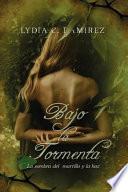 Bajo la Tormenta
