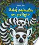 Bebés animales en peligro