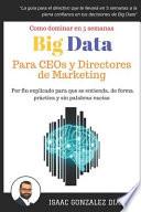 Big Data Para Ceos Y Directores de Marketing