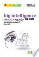 Big Intelligence