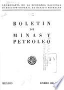Boletín de minas y petróleo