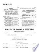 Boletín de minas y petróleo