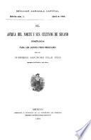 Boletín