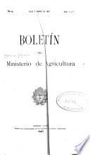 Boletín