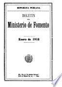 Boletin