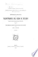 Boletín