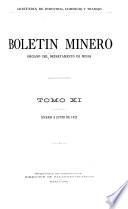 Boletin minero