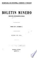 Boletín minero