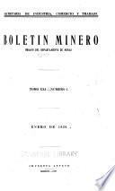 Boletín minero