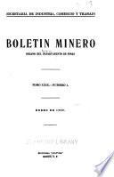 Boletín minero