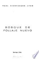 Bosque de follaje nuevo
